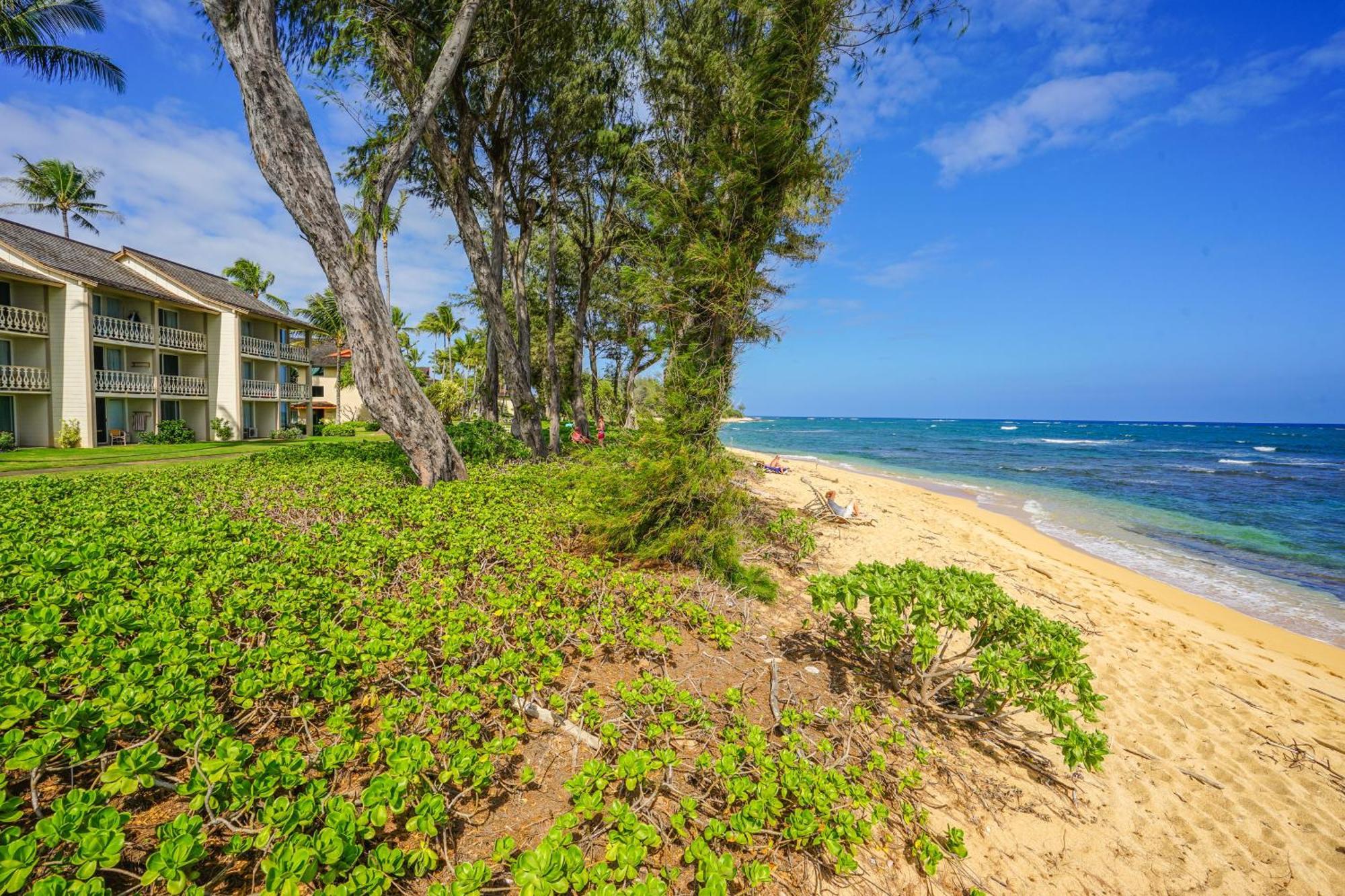 Islander On The Beach Kapa'a Quarto foto